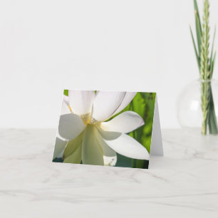 Vitt Lotus Flower-Folkt tackkort