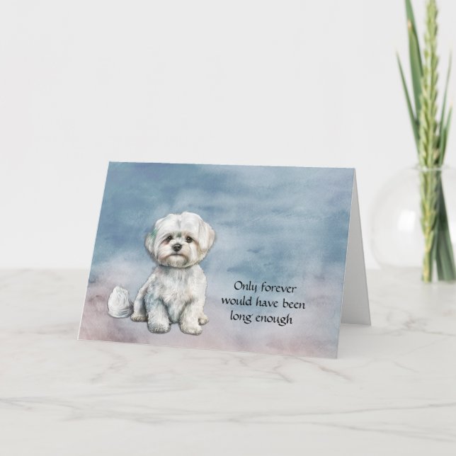 Vitt maltesiskt Hund Sympathy Card Helgkort (Framsida)