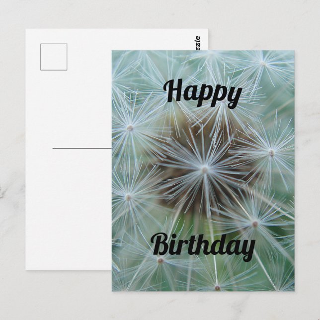 Vitt Maskros Postkort Vykort (Fram/baksida)