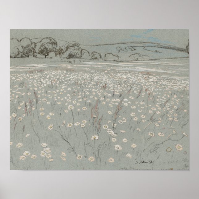 Vitt och blått blomsterfält vintage konsttryck poster (Framsidan)