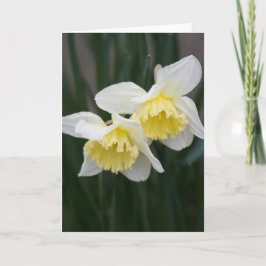 Vitt och gult Daffodils Greeting Card Meddelande