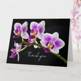 Vitt och Lila Orchid - tackkort Kort