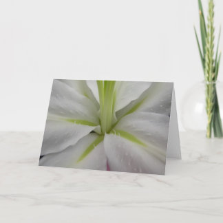 Vitt och Lime Tiger Lily Greeting Card Kort