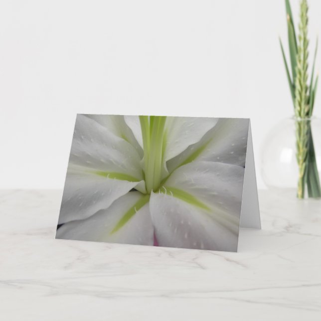 Vitt och Lime Tiger Lily Greeting Card Kort (Framsida)