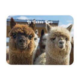 Vitt och rödaktigt, bläckhaltigt Alpaca par Magnet