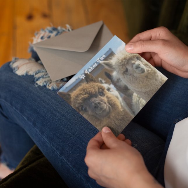Vitt och rödaktigt, bläckhaltigt Alpaca par Vykort (Skapare uppladdad)