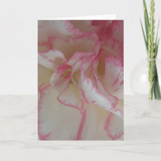Vitt och Rosa Carnation-hälsningskort Kort