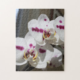 Vitt och Rosa Fläckat orchid-foto Pussel