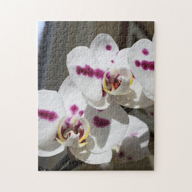 Vitt och Rosa Fläckat orchid-foto Pussel (Vertikal)