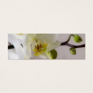 Vitt orchid - Bröllop-webbplatsprofilkort Litet Visitkort