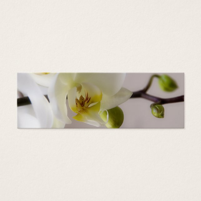 Vitt orchid - Bröllop-webbplatsprofilkort Litet Visitkort (Framsidan)