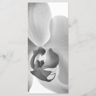 Vitt orchid-Bröllopsprogram Program