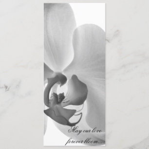 Vitt orchid-Bröllopsprogram Program