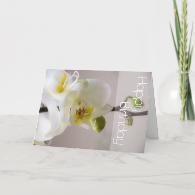Vitt orchid-födelsedagskort kort (Framsida)