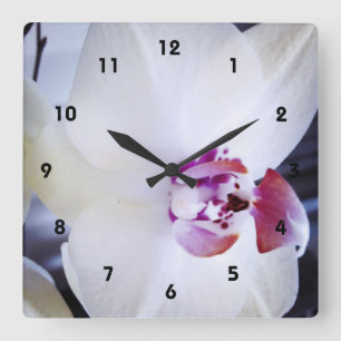 Vitt orchid-foto fyrkantig klocka