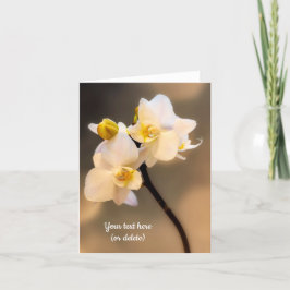 Vitt orchid-kort kort