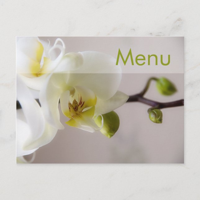Vitt orchid - vykort för meny (Framsida)