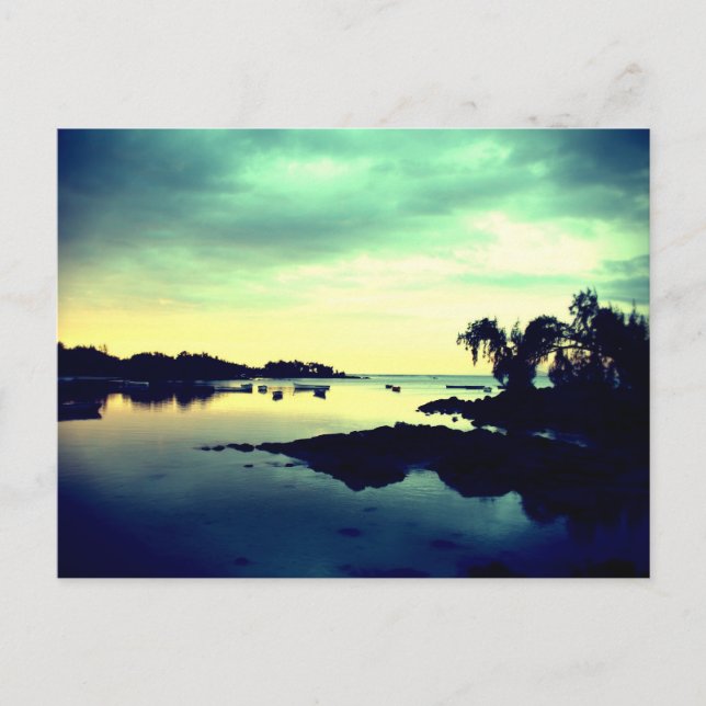 Vitt paradisiaque - nattetid vykort (Framsida)