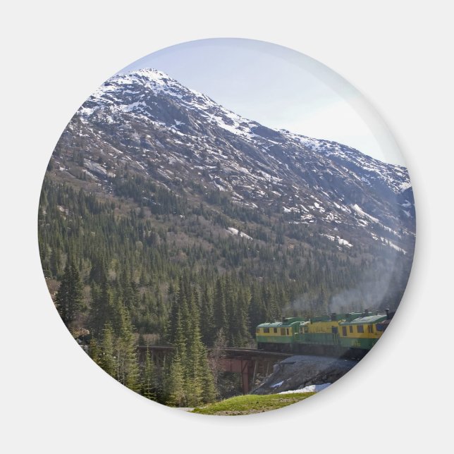 Vitt pass 38 magnet (Framsidan)