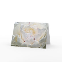 Vitt peony Blank Photographic Greeting Card