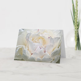 Vitt peony Blank Photographic Greeting Card Kort