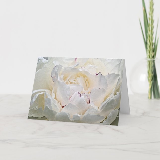 Vitt peony Blank Photographic Greeting Card Kort (Framsida)
