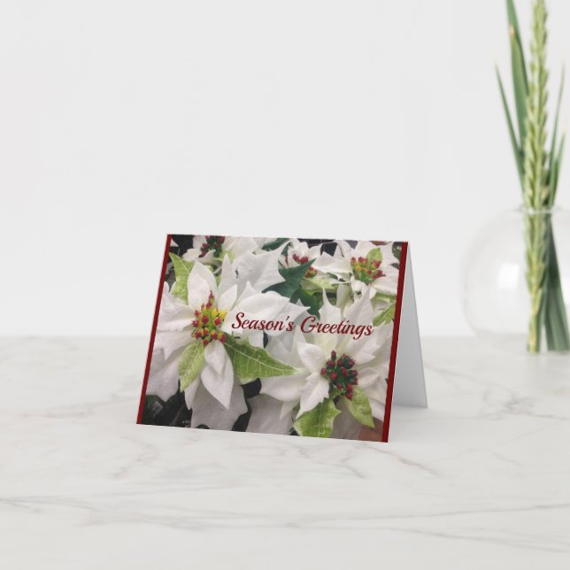 Vitt poinsettia-julkort - Helgdag Helgkort (Framsida)