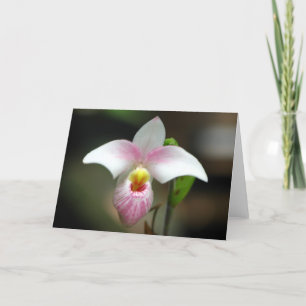 Vitt/rosa Orchid-kort Kort