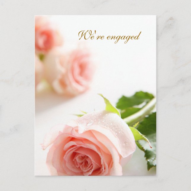 Vitt rosa ros Förlovningsannons Meddelande Vykort (Framsida)