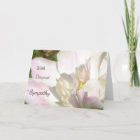 Vitt Rosa Tulip Sympathy Greeting Card