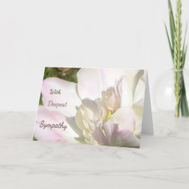Vitt Rosa Tulip Sympathy Greeting Card Tack Kort