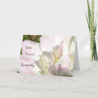 Vitt Rosa Tulip Sympathy Greeting Card Tack Kort