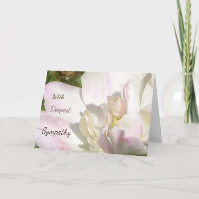 Vitt Rosa Tulip Sympathy Greeting Card Tack Kort (Framsida)