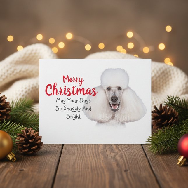 Vitt, standardjulkort för Pudel Helg Vykort (White Standard Poodle Christmas Card)