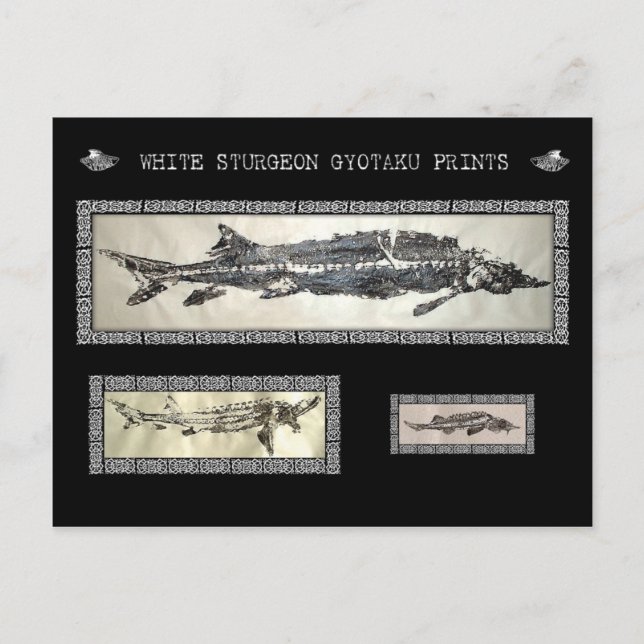 Vitt sturgeon Gyotaku-kollage-kort Vykort (Framsida)