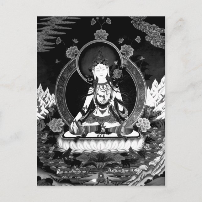 Vitt Tara-vykort b/w Vykort (Framsida)