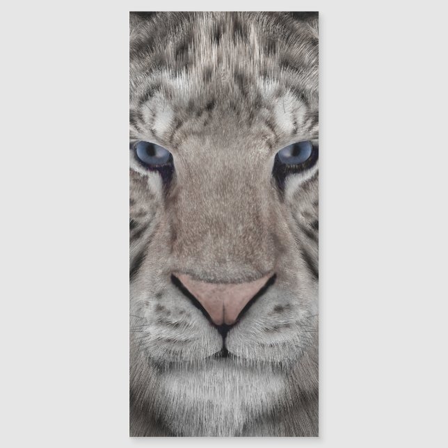 vitt_tiger_huvud (Framsida)