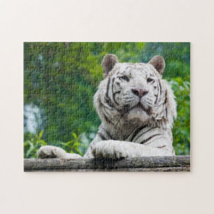 Vitt tigerpussel pussel