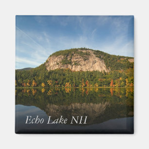 Vitt trasselagnettningsvärde magnet