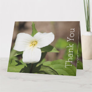 Vitt Trillium Blomfotografi Kort