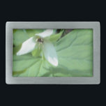 vitt trillium med grönt<br><div class="desc">vitt trillium med grönt</div>
