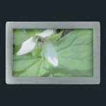 vitt trillium med grönt<br><div class="desc">vitt trillium med grönt</div>
