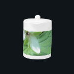 vitt trillium med grönt<br><div class="desc">vitt trillium med grönt</div>