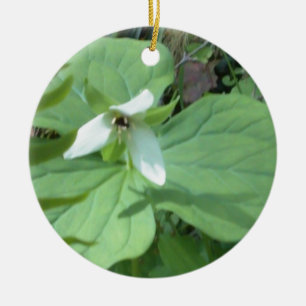 vitt trillium med grönt julgransprydnad keramik