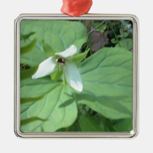 vitt trillium med grönt julgransprydnad metall