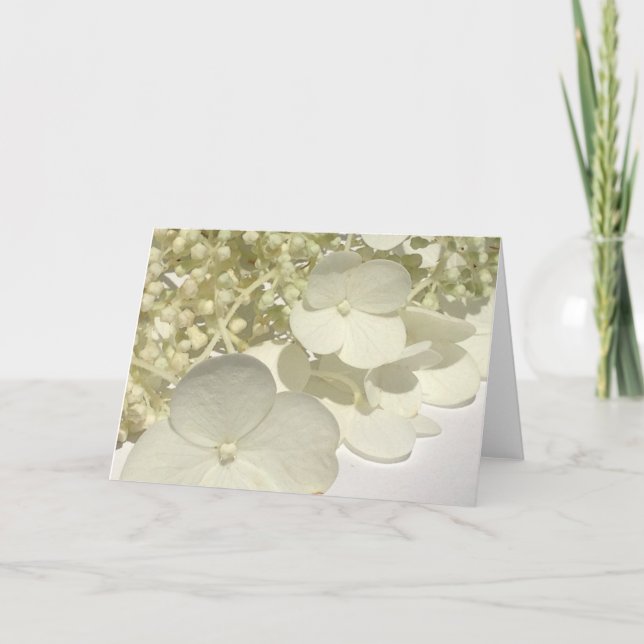 Vitt tvättekap Hydrangea Blommor Greeting Card Kort (Framsida)