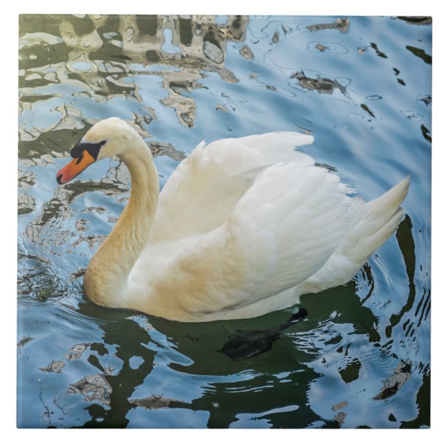 Vitt, vackert svan-vykeramiskt plattor kakelplatta (Framsidan)