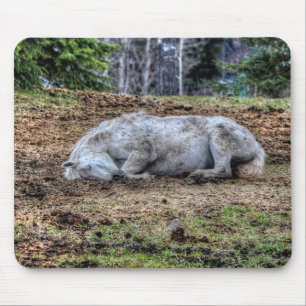 Vitt, vackert tvättställ, Ranch Horse Musmatta