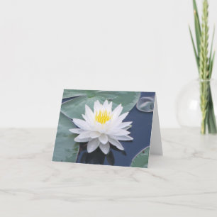 Vitt Vatten Lily-fotomappat anteckningskort