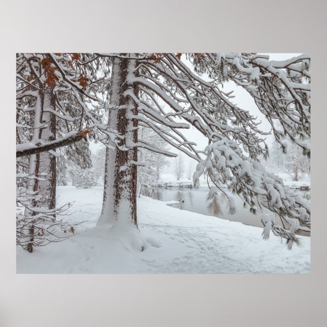 Vitt vinter poster (Framsidan)